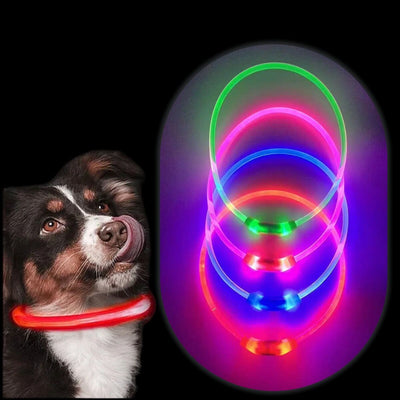 YES4PETS Medium 55CM LED Dog Collar USB Rechargeable Night Glow Flashing Light Up Safety Pet Collars-3 Lighting Modes