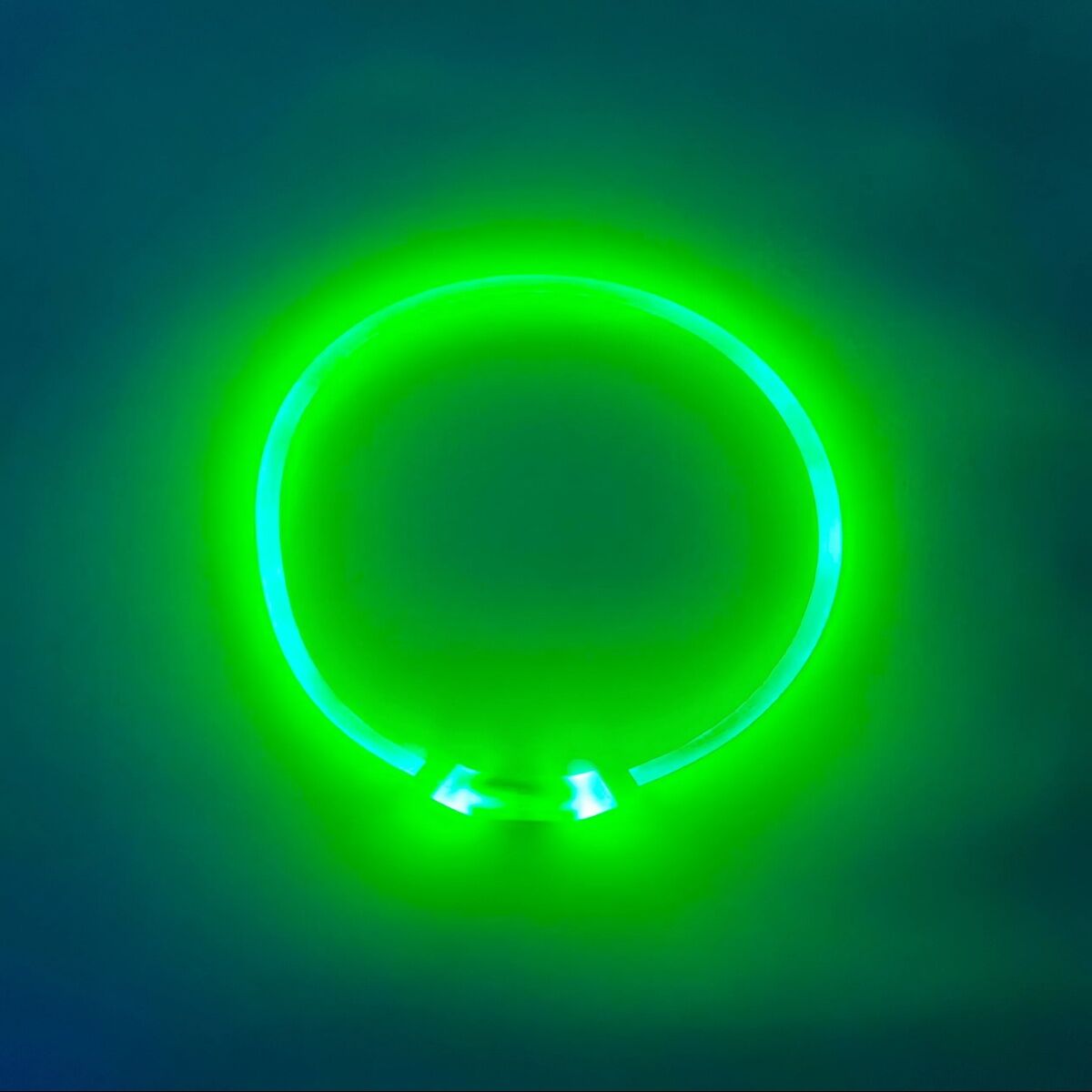 2 X YES4PETS Medium 55CM LED Dog Collar USB Rechargeable Night Glow Flashing Light Up Safety Pet Collars-3 Lighting Modes