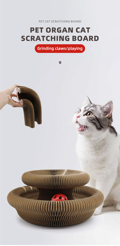 YES4PETS 3 x Small Magic Organ Cat Kitten Scratching Board Toy Play Best Scratcher