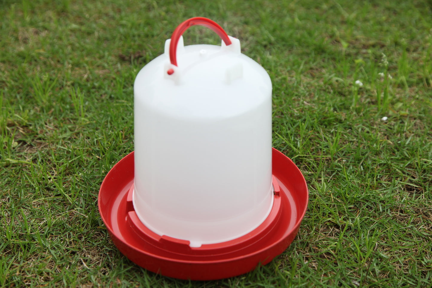 YES4PETS XL Farm Poultry Bird Chicken Water Drinker 6 L & 6 kg Food Grain Seed Feeder Set