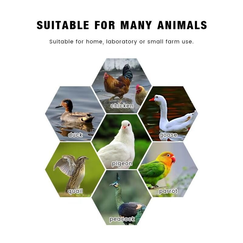 YES4PETS Automatic Digital 64 Egg Incubator Humidifier Egg Hatching Temperature Control