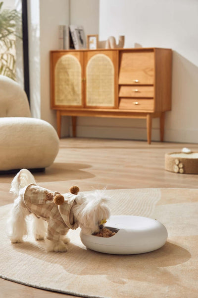 6 Meal Automatic Pet Dog Cat Food Feeder Dispenser with Programmable Timer White