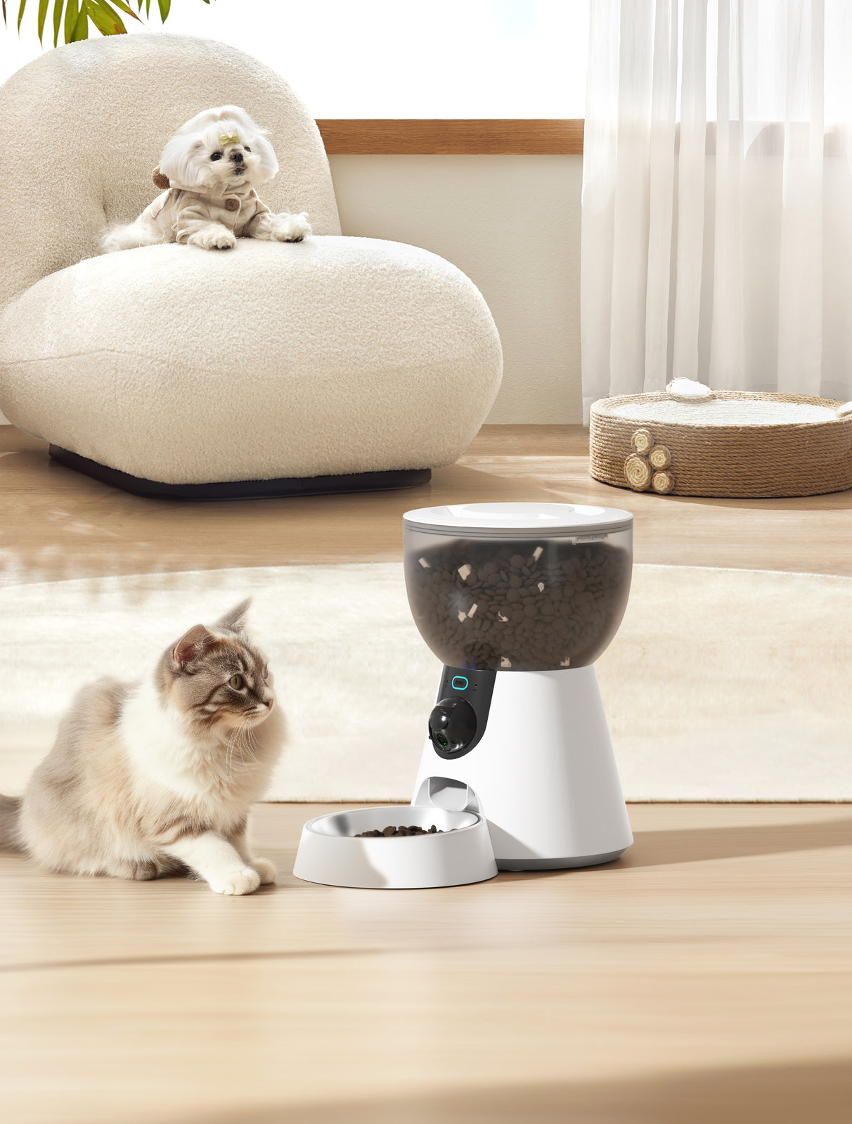 Smart Automatic Pet Dog Cat Rabbit Monitoring Feeder Camera APP for iPhone Android