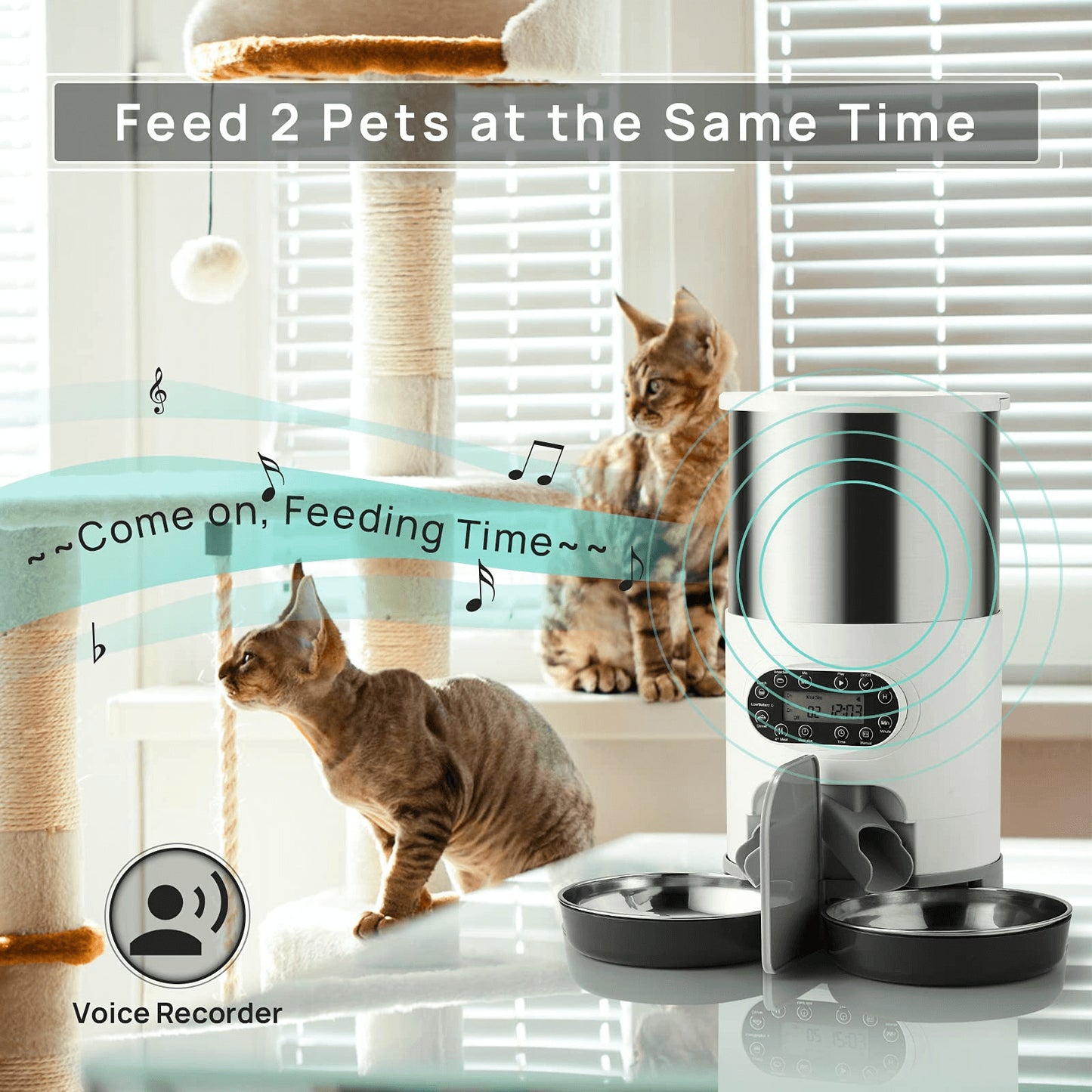 YES4PETS 4.5L Dual Power Supply Automatic Digital Pet Dog Cat Double Feeder Food Stainless Steel Bowls Dispenser