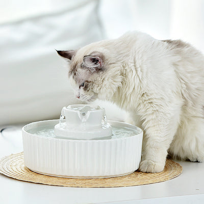 YES4PETS Porcelain Electric Pet Water Fountain Dog Cat Ceramic Water Feeder Bowl Dispenser 17X Filters