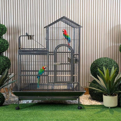 Bird Cage Basics: Simple Tips for a Happy, Healthy Pet Bird