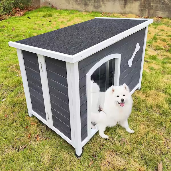 How to Train Your Dog… Kennel Edition