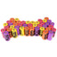 630 X Dog Puppy Poop Waste Disposable Rainbow Bags