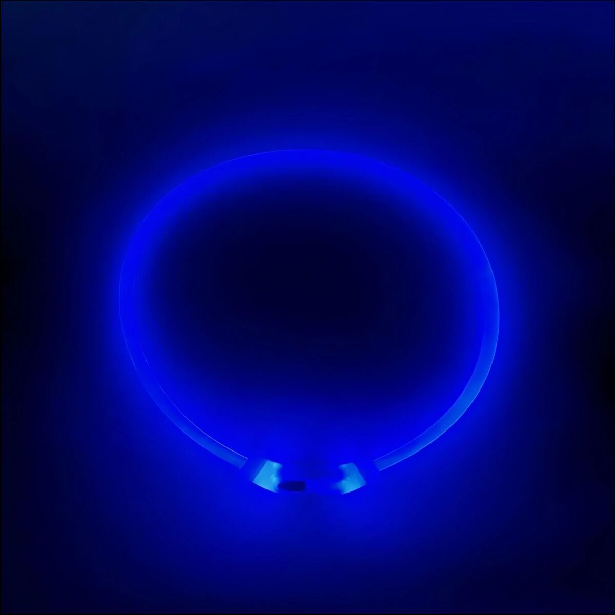 2 X YES4PETS Medium 55CM LED Dog Collar USB Rechargeable Night Glow Flashing Light Up Safety Pet Collars-3 Lighting Modes