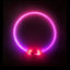 2 X YES4PETS Medium 55CM LED Dog Collar USB Rechargeable Night Glow Flashing Light Up Safety Pet Collars-3 Lighting Modes