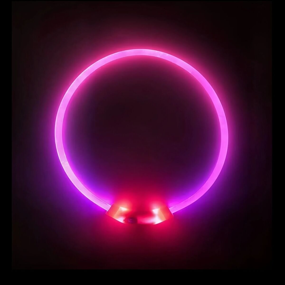 2 X YES4PETS Medium 55CM LED Dog Collar USB Rechargeable Night Glow Flashing Light Up Safety Pet Collars-3 Lighting Modes