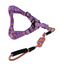YES4PETS 2 X Medium Pet Dog Cat Puppy Kitten Rabbit Dog Harness Collar leash lead 5 Color