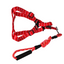 YES4PETS 2 X Medium Pet Dog Cat Puppy Kitten Rabbit Dog Harness Collar leash lead 5 Color
