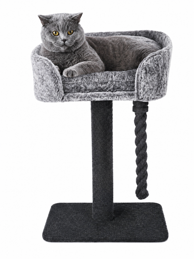 Grey Cat Scratching Tree Scratcher Post Pole Furniture Gym House