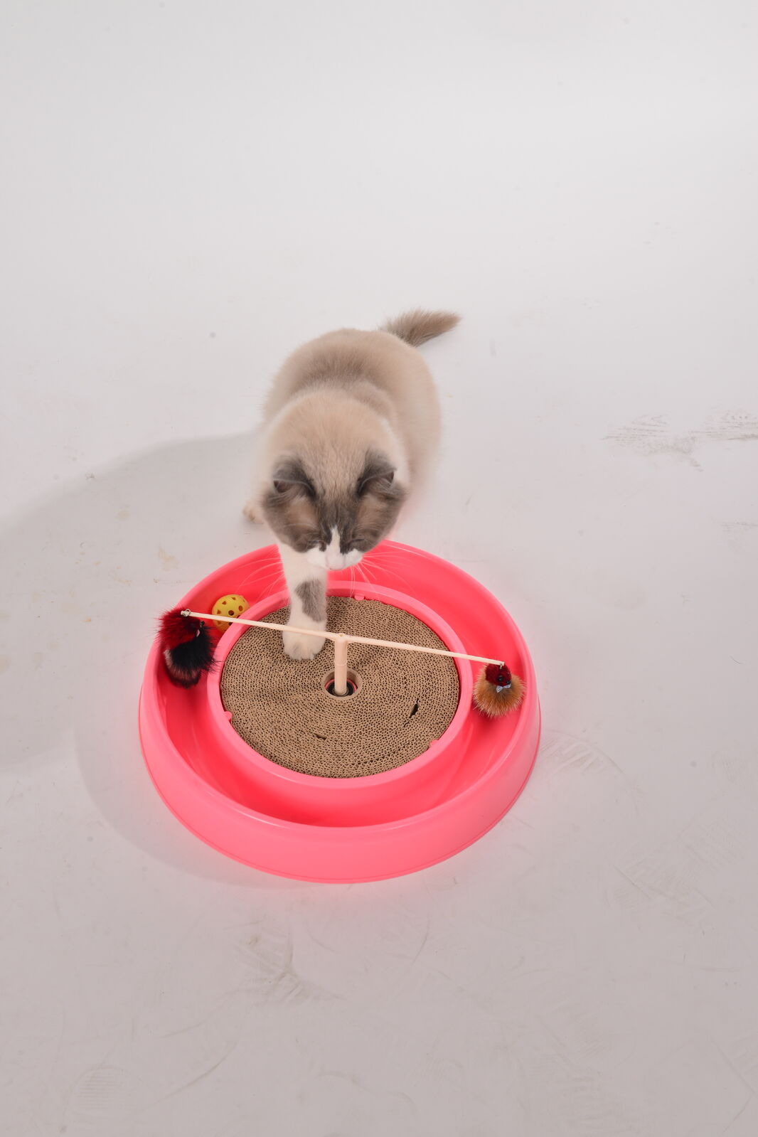 YES4PETS Cat Play Box Kit Pet Toy Kitten Toys Interactive Claw Ball Hunting Toy Pink