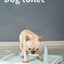 YES4PETS Medium Portable Dog Potty Training Tray Pet Puppy Toilet Trays Loo Pad Mat