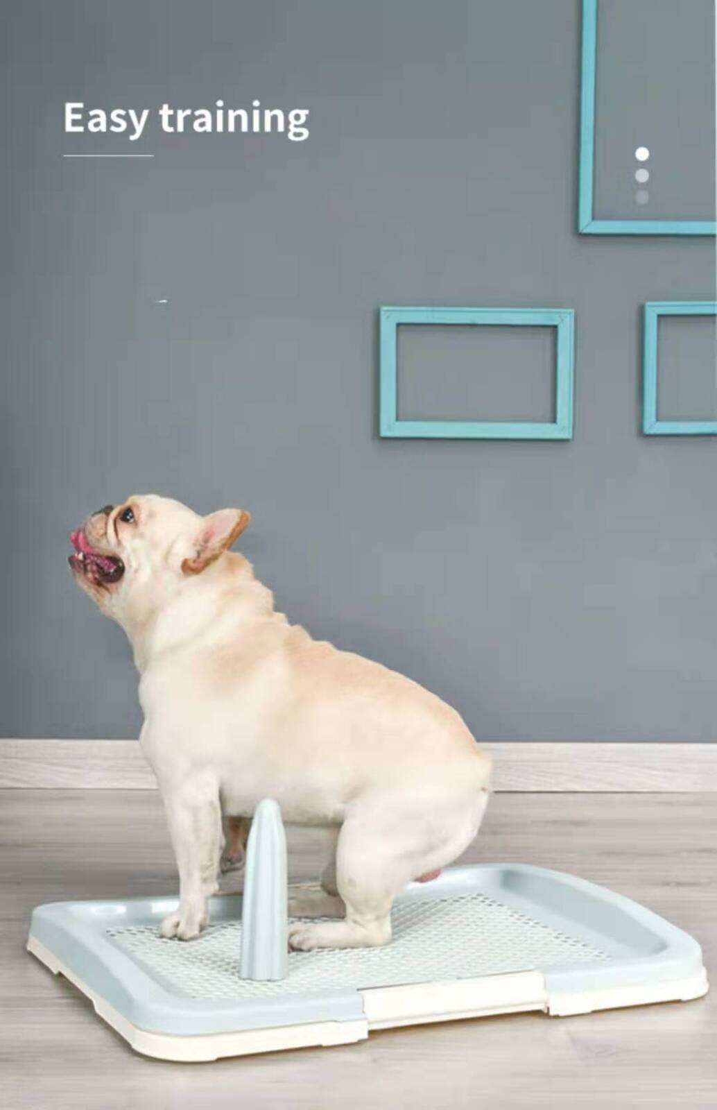 YES4PETS Medium Portable Dog Potty Training Tray Pet Puppy Toilet Trays Loo Pad Mat