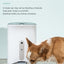 Smart Automatic Pet Dog Cat Rabbit Feeder Smartphone Camera APP for iPhone Android