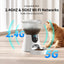 Smart Automatic Pet Dog Cat Rabbit Monitoring Feeder Camera APP for iPhone Android