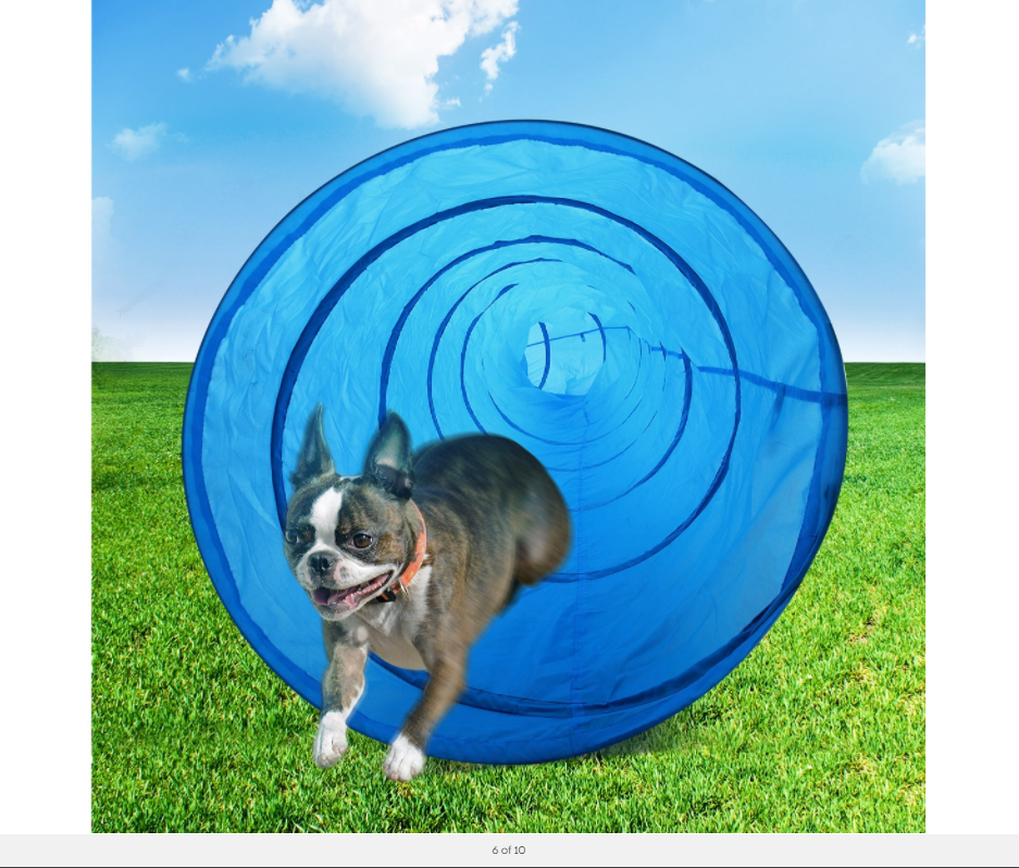 YES4PETS Portable Pet Dog Agility Training Exercise Cat Tunnel Chute 3M