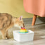 YES4PETS Ceramic Electric Pet Water Fountain Dog Cat Water Feeder Bowl Dispenser 17x Filters