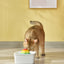 YES4PETS Ceramic Electric Pet Water Fountain Dog Cat Water Feeder Bowl Dispenser 17x Filters