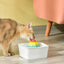 YES4PETS Ceramic Electric Pet Water Fountain Dog Cat Water Feeder Bowl Dispenser 17x Filters