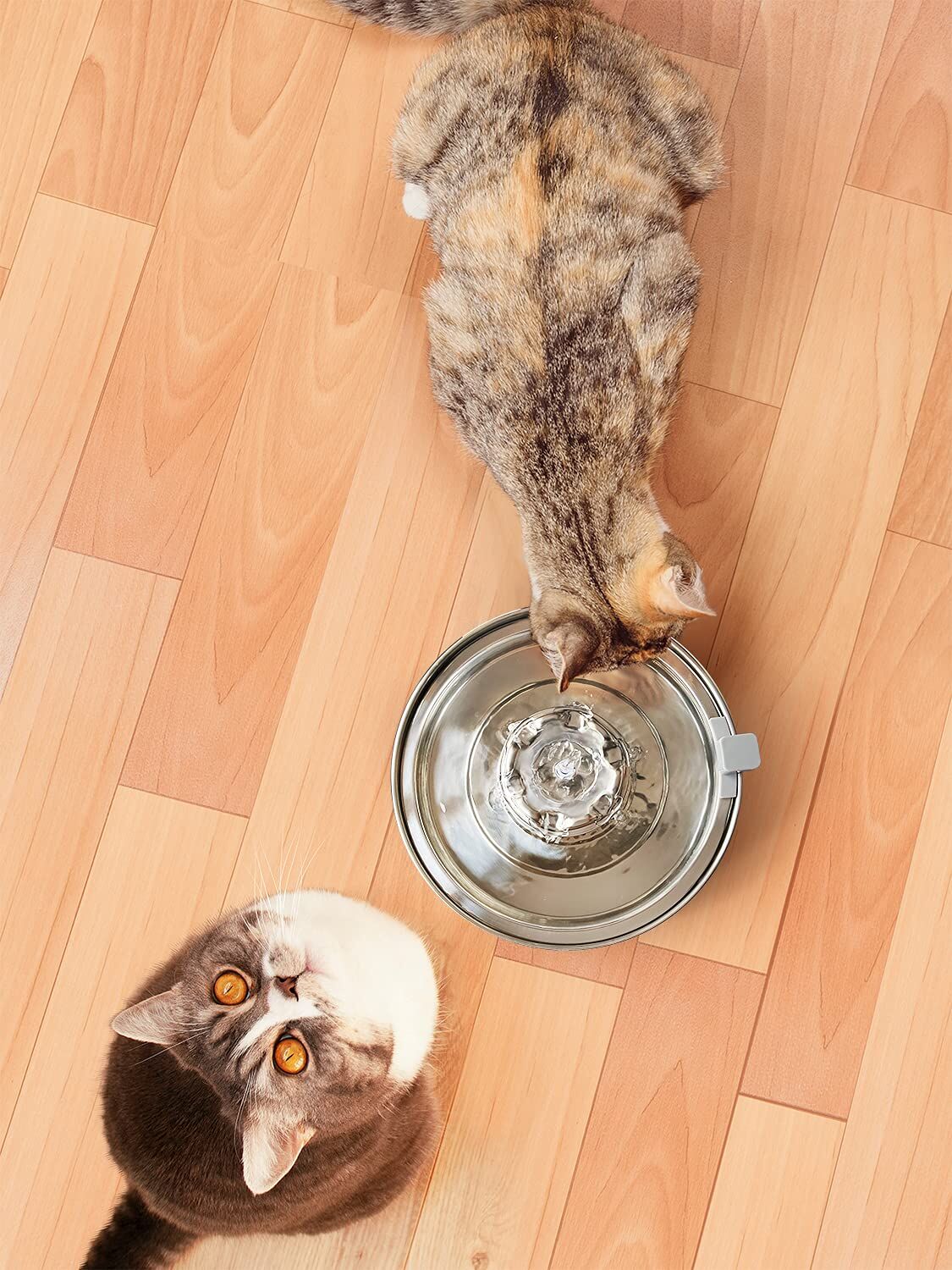 YES4PETS 2L Automatic Electric Pet Water Fountain Dog Cat Stainless Steel Feeder Bowl Dispenser