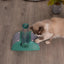 Cat Play Box Kit Pet Toy Kitten Toys Interactive Ball Peek Hunting Toy-Green
