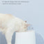 Electric Pet Dog Cat Automatic Self-Clean Water Fountain 1.5L 9 x Filters